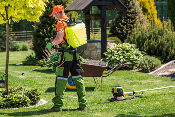 Best Lawn Pest Control  in Brockway, PA